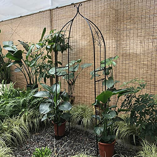 Metal Garden Arch for Small Climbing Plants - Stylish Half Pergola Arbor for Indoor/Outdoor Use, Easy to Assemble Rose Arch Decoration