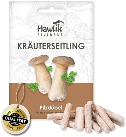 Hawlik Pilzbrut Kräuterseitlinge Myzel-Dübel für Pilzzucht auf Stroh - Kinderleicht Pilze im Garten züchten und leckere Edelpilze ernten - Pilze selber züchten