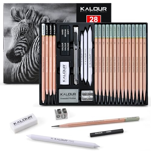 KALOUR Juego de 28 lápices de dibujo profesionales para bocetos – 14 lápices de grafito (14B–5H), lápices de carbón, borradores, sacapuntas y montura – Kit de arte completo para artistas y