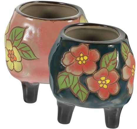 Hemobllo 2piezas Macetas para Suculentas Macetas Creativas para Plantas Suculentas Adorno para Interior o Jardín