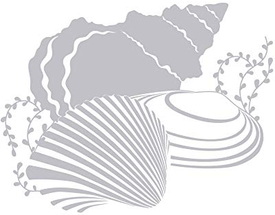 GRAZDesign Fenstertattoo Muscheln Maritim, Glastüren Aufkleber Badezimmer, Glastattoo Folie für Duschkabine 39x30cm