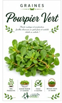400 graines de pourpier vert - purslane - Portulaca oleracea - Pourpier maraîcher - légume vert - herbe artomatique