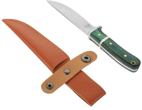DECHOUS Coltello da Cucina per Agnello in Acciaio Inossidabile Manico Ergonomico in Legno, Lama Alta Durezza per Affettare Carne e Pesce, Colore Casuale