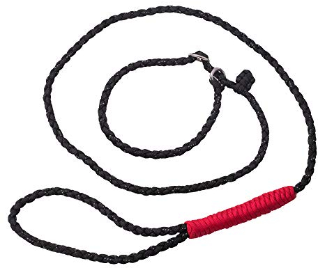 Golden Pets Paracord Retrieverleine I Zugstopp I 1,7m I reflektierend, extrem leicht & robust I integrierter Halsung I geflochtene hochwertige Trainingsleine (Für kleine Hunde bis 15 kg)