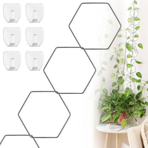 Tuteur pour plantes d'intérieur, de jardin en métal, tuteurs pour plantes grimpantes, support pour plantes grimpantes, support de plantes pour monstera, pothos, lierre et plus encore