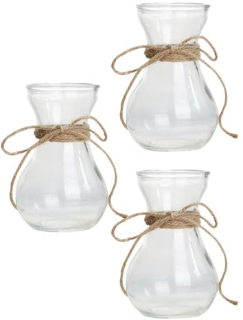 Housoutil Lot de 3 Vases en Verre Transparent pour Plantes Hydroponiques Pot à Fleurs Décoratif pour Boutures et Culture D’Intérieur Contenant pour Hyacinthes et Plantes Vertes Usage