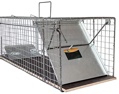 Große 116x26x28cm Waschbärfalle Katzenfalle Marderfalle Wetterfeste, robuste Lebendfalle I Falle 2 Eingänge für Marder, Katze I Lebend Kaninchenfalle Katzenfalle, Marderfallen verzinkt