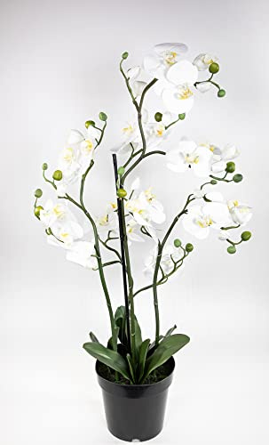 Seidenblumen Roß Sumatra Orchidee Real Touch 100x40cm weiß GA künstliche Phalaenopsis Blumen Kunstpflanzen Kunstblume