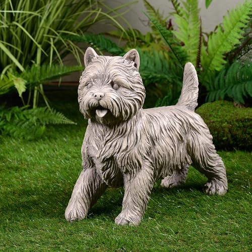 Hi-Line Gift Ltd. Cairn Terrier Gartenstatue, grau, lebensgroß, Heim- und Hofdekoration