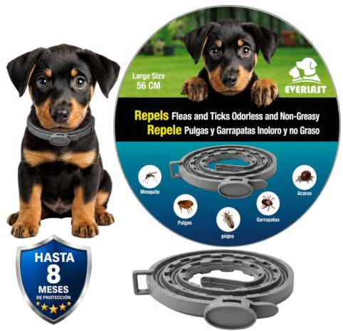 Collare Antiparassitario per Cani - 8 Mesi di Protezione contro Pulci, Zecche, Zanzare e Acari - 65 cm Regolabile, Efficace e Sicuro 100% Naturali (1, GRIGIO RINFORZATO, 56CM)