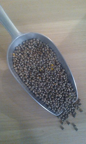 Gründüngung Lupinen Blau 2000 g Frische Saat