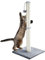 Dimaka 86 cm Tall Ultimate Cat Scratching Post, Claw Scratcher with Sisal Rope and Covered with Soft Smooth Plush, Vertical Scratch [Full Stretch], Modern Stable Design for Cats(Grey V2)…