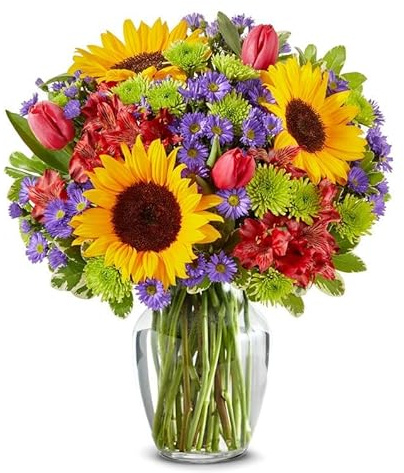 From You Flowers - Lush Sunflower Garden with Glass Vase | Fresh Flower Bouquets for Mother's Day, Birthday, Anniversary, Get Well or Celebration
