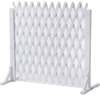 Écran De Clôture De Confidentialité sur Pied – Treillis Extensible pour Plantes Grimpantes en Plein Air, Clôture Mobile en Bois pour Chien, Plantes De Jardin Grimpantes (Size : 160 * 75cm)