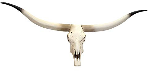 Mendler Deko Kuhschädel HWC-D32AM Polyresin 103x43x11cm | Stierkopf, Bulle, Tierkopf, Longhorn, Trophäe