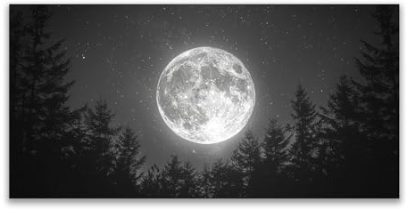 JOSUE Bilder Wald Baum Mond Wandbilder Leinwand Wohnzimmer,Schwarz, weiß Wandbilder Wohnzimmer Schlafzimmer KüChe Badezimmer Wanddeko-50x100cm Ungerahmt