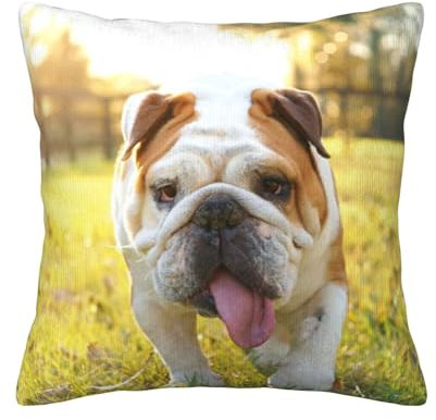 DOFFO Niedliche Bulldogge Welpe bedruckte Herbst-Kissenbezüge 50,8 x 50,8 cm weicher Kordsamt dekorative Wurfkissen für Frühling Weihnachten Sofa Wohnzimmer Couch Schlafzimmer