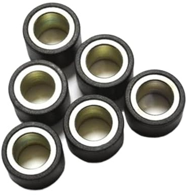 DEMULAX Pesi a rulli 7,5 g 19 x 15,5 mm, for Gilera, DNA 50, H@K 50, RCR 50 Peso a rulli Equilibratore a rulli di trasmissione