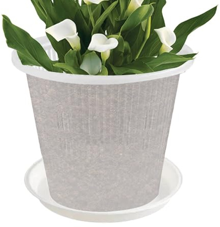 Macetas para orquídeas, macetas para orquídeas de interior, con agujeros y platillo, accesorios para el hogar, maceta transparente para flores, rosas, orquídeas, pensamientos, cactus, suculentas, 4.33