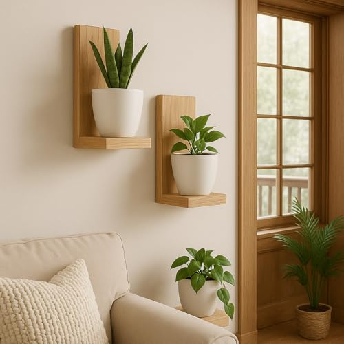 Ssafia Macetero Decorativo de Pared en Madera Maciza, Estante Flotante para Plantas y decoración de Interiores, Estantería Pared Madera Estilo Moderno y Elegante (Pino)