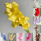12 piezas Bulbos de gladiolo, perennes y resistentes, decoración de flores, plantas de interior gladiolos, gladiolos, Decoración de jardín para flores de jardín exterior. Plantas Para