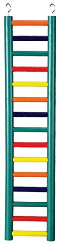 Prevue Pet Products BPV01137 snickarskapelser lövträ fågelstege med 9 steg, 45 cm, färgerna varierar
