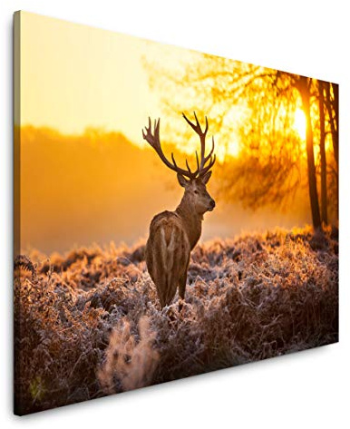 Paul Sinus Art Hirsch im Wald 60 x 90 cm Inspirierende Fotokunst in Museums-Qualität für Ihr Zuhause als Wandbild auf Leinwand in