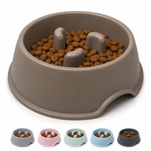 Slow Feeder Dog Bowl Anti Gulp Food Bowl for Small Medium Dogs | Brown