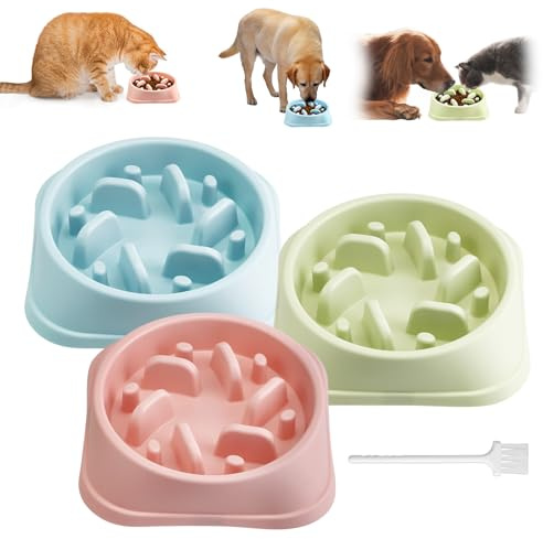 QUMENEY 3PCS Slow Feeder Dog Bowl Cleaning Brush Non Slip Dog Food Bowl | Slow Eating Dog Bowl Interactive Anti Gulp for Small Medium Size Dogs and Cats (Blue、Pink 、Green)