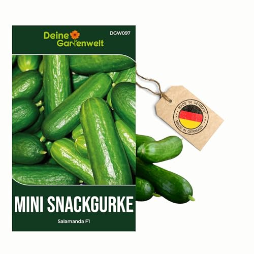 Mini Snackgurke Salamanda F1 Samen - Cucumis sativus - Gurkensamen - Gemüsesamen - Saatgut für 6-8 Pflanzen – 5er Pack
