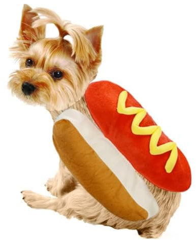 Husdjurskorvkostym Hamburgerdesign Hundkläder Husdjur Halloween Cosplayoutfit Julfest Klä upp för valpkattunge(L)