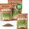 ZenGreens® - Semillas de eneldo ecológico - Elija entre 10g, 200g y 500g - brotes de eneldo - germinación de más del 97% - Microgreens
