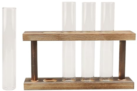 TOYZFRIENDY Vaso Decorativo per Provette in Vetro Supporto in Legno, Contenitore per Piantagione D’acqua, Ornamento per Piante Acquatiche da Tavolo, per Casa, Ufficio e Ristoranti