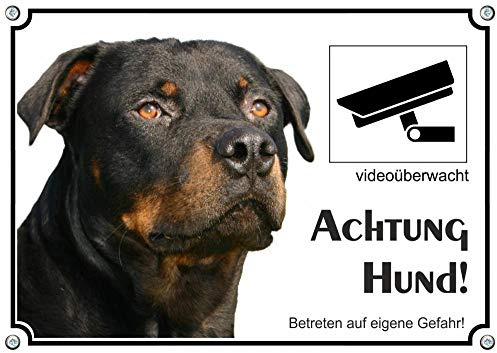 Petsigns Rottweiler - Hundeschild aus Metall - Warnschild mit Videoüberwachung, DIN A4