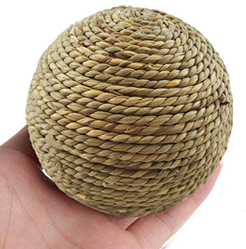 Gusengo Jouet Lapin - Jouets pour Petits Animaux À Mâcher, Boules À Mâcher Petits Animaux Boules À Mâcher Jouets pour Lapins Soins Dentaires pour Petits Animaux, Entretien des Dents