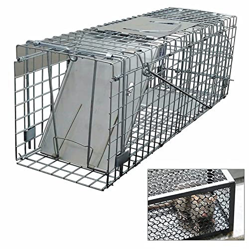 Large, Rat Trap, Humane Live Animal Mouse Cage Traps, Metal Trap Squirrel Trap for Indoor and Outdoor, Catch and Release Mice, Rats,Chipmunk, Pests, Rodents and Similar Sized Pests, 61x19x21cm