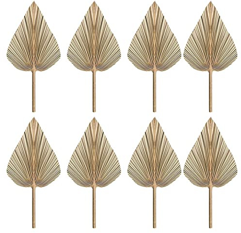 Rastapulz 8 Pezzi Secchi Palm Foglie Secchi Ventagli Secchi Boemia Gambelle di Palma Secchi Piante Palma Foglie Tropicali Palma Foglie