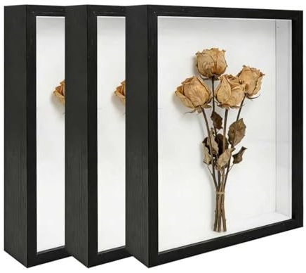 3 Pcs 8x10 Inch Shadow Box Frames Acrylic,Shadow Box Frame Display Cases,Cases for Pressed Flowers Keepsakes Tickets Photos (Black)