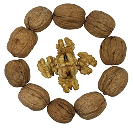 Smarty Stop Raw Walnuts in Shell (5 Pound (Pack of 1))
