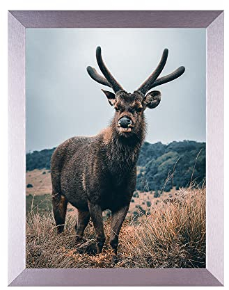 Rahmendesign24 Posterrahmen Milano 50x70 Silber (hochglanz) Fotorahmen, Wechselrahmen, Bilderrahmen, Puzzlerahmen