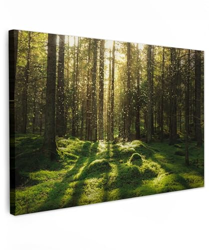 MuchoWow© Wandbilder Groß XXL Schlafzimmer Home Deko Wohnung Bild - Natur | 120x80 cm - Wohnzimmer Fotoleinwand Wand Bilder Leinwand Wall Decor Bäume - Wandbild Wald - Moos - Pflanzen - Sonne