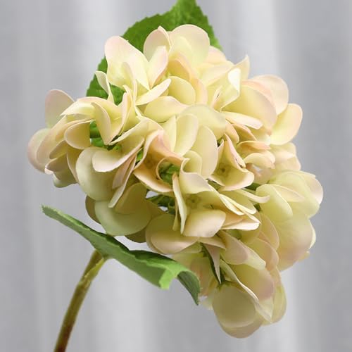 Vllcsla Künstliche Blumen Dekorative Künstliche Hortensie Real Touch 5 Stück für Home Wedding Hotel Dekoration - Jedes Stück enthält 1 großen Hortensienkopf mit 14 cm Durchmesser