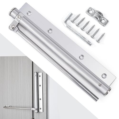 Heveer Chiudiporta automatico in acciaio inox, chiudiporta a molla regolabile, per esterni, porta interna, cancello da giardino, argento