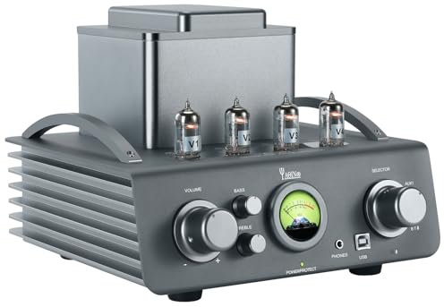 YAQIN CS-201 HiFi Röhrenverstärker BT 5.0 Aux USB Eingang 3.5mm Kopfhörer Ausgang, Höhen Bass Einstellung VU Meter Anzeige