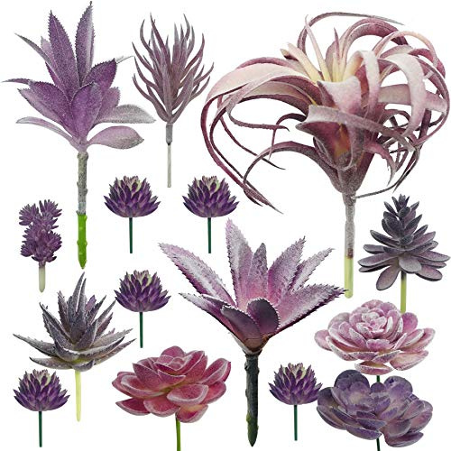 Cayway 15 Stück Künstliche Sukkulenten Lila Unfotted Faux Blume Sukkulenten Sukkulenten Künstlich Gemischt für Zuhause Indoor Fairy Garden Dekorationen