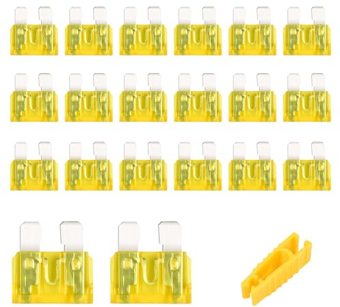 Flaconi 20PCS Fusibili Auto,Fusibile 10A,Fusibili Auto Mini,Fusibili 10A,Fusibile a Lama Automobilistico,Fusibile Piatto a Innesto,Fusibile a Lama,Adatto per Auto,SUV,Camion,Moto (20A)