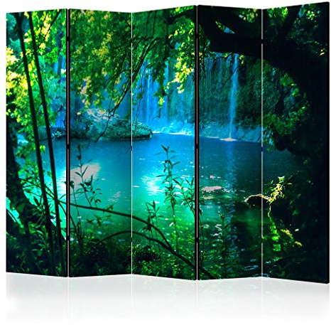 decomonkey Paravent Raumteiler Innen Natur, 225x172 cm, 5-teilig, Wald | Beidseitig, Wasserfall, Wohnzimmer, Room Divider, Wall, Raumteiler Stehend, Trennwand, Sichtschutz, Spanische Wand, Holz