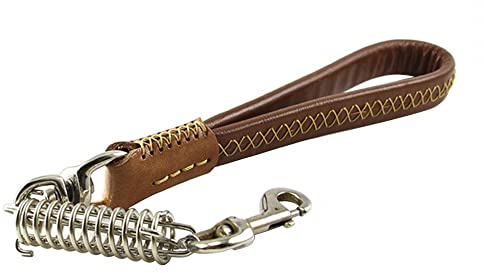 25cm Kurzführer Hund mit Stoßdämpfende Feder, Leder Kurz Hundeleine, Kausichere Hundekette Führschlaufe für Kleine, Mittelgroße und Große Hunde