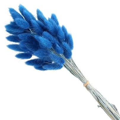 CaFfen Pampasgras Deko 60pcs Bunny Rabbit Tail Grass Dried Flower Bouquet Home Decor Pampas Floral Wedding Christmas Decoration Trockenblumen(Dark Blue)