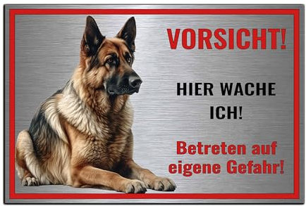 Schild Vorsicht Hier wache ich - Betreten auf eigene Gefahr! Achtung - Hundeschild Warnschild - Warnung vor dem Hund - Deutsche Schäferhund M4 (Silber gebürstet, 22,5x15 cm)